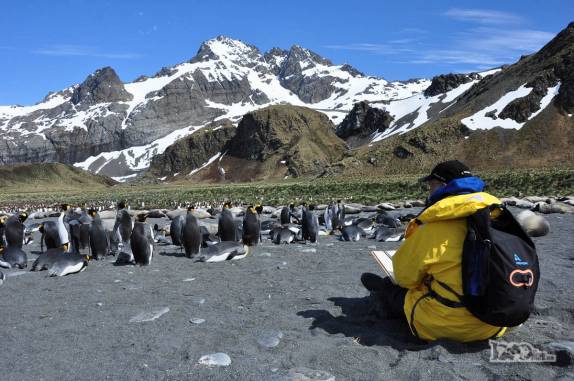 Cenário inspirador para uma pintura, em Gold Harbour, na Geórgia do Sul